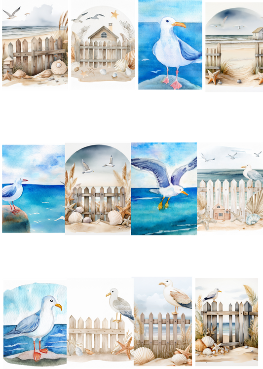 A Day At The Beach